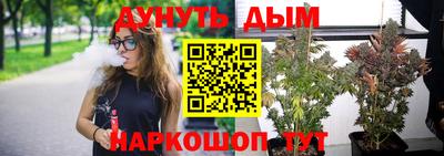 гидра Волгодонск